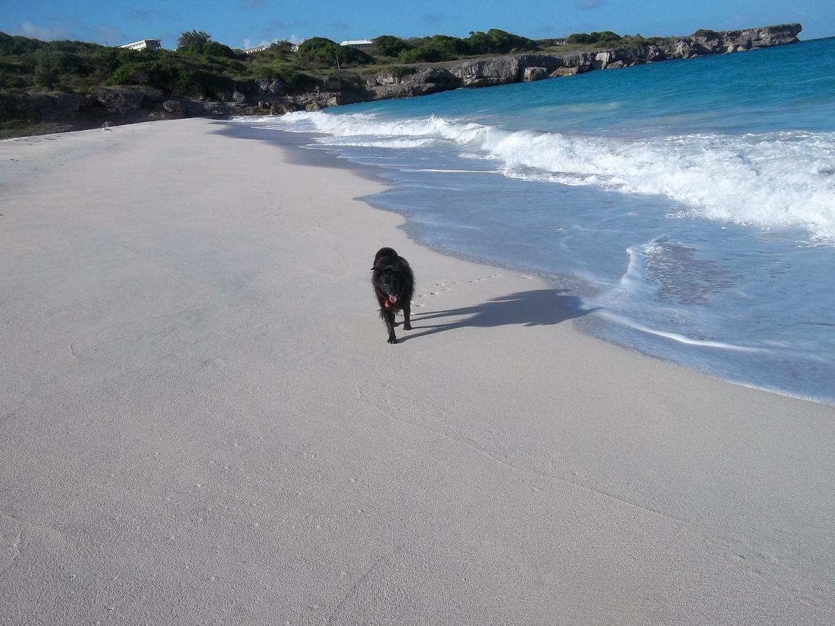 Ocean Ridge At Long Beach Κράιστ Τσερτς Εξωτερικό φωτογραφία