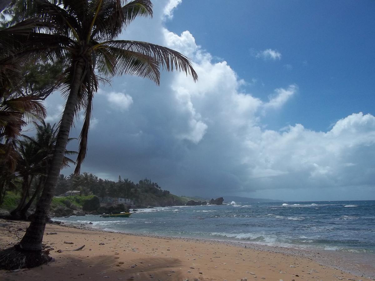 Ocean Ridge At Long Beach Κράιστ Τσερτς Εξωτερικό φωτογραφία